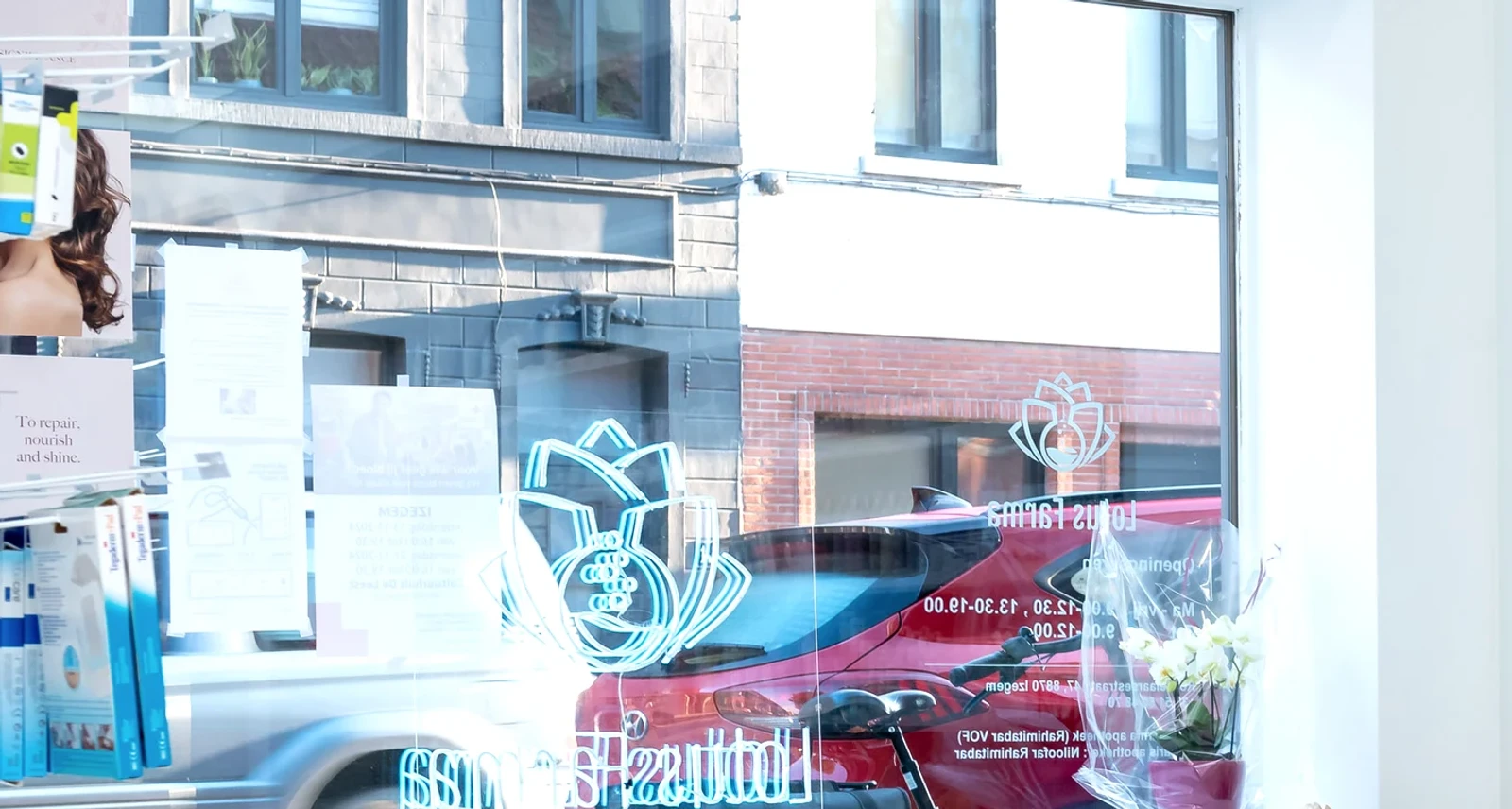 LotusFarma storefront window, Izegem